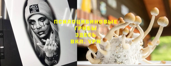 хмурый Белоозёрский